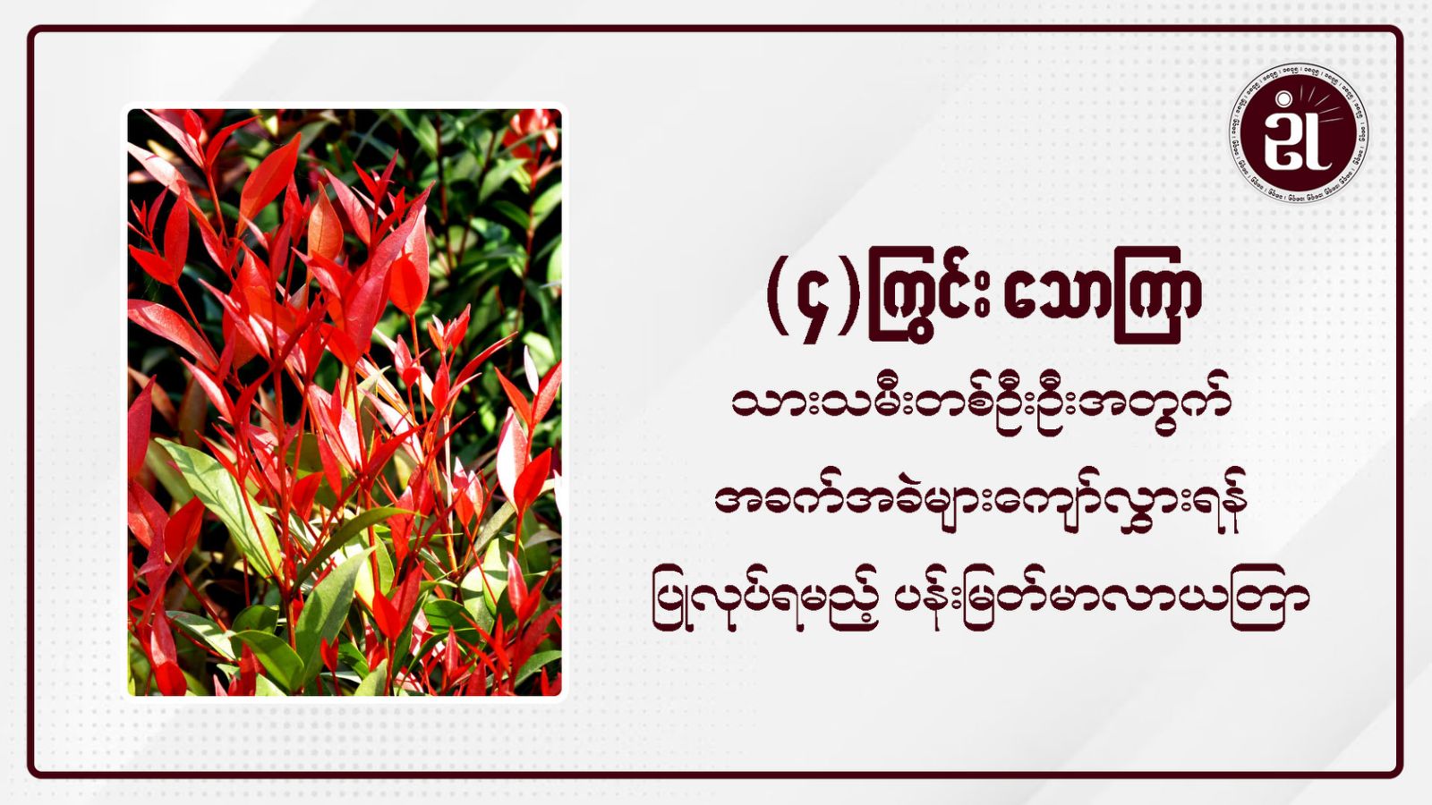 (၄)  ကြွင်းသောကြာသားသမီးတစ်ဦးဦးအတွက် အခက်အခဲများကျော်လွှားရန်ပြုလုပ်ရမည့်ပန်းမြတ်မာလာယတြာ