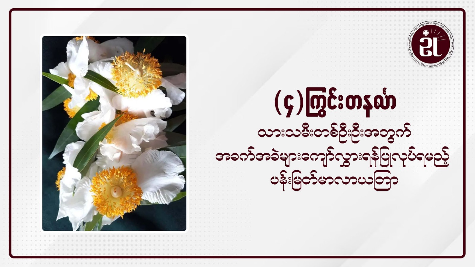 (၄) ကြွင်းတနင်္လာသားသမီးတစ်ဦးဦးအတွက် အခက်အခဲများကျော်လွှားရန်ပြုလုပ်ရမည့်ပန်းမြတ်မာလာယတြာ