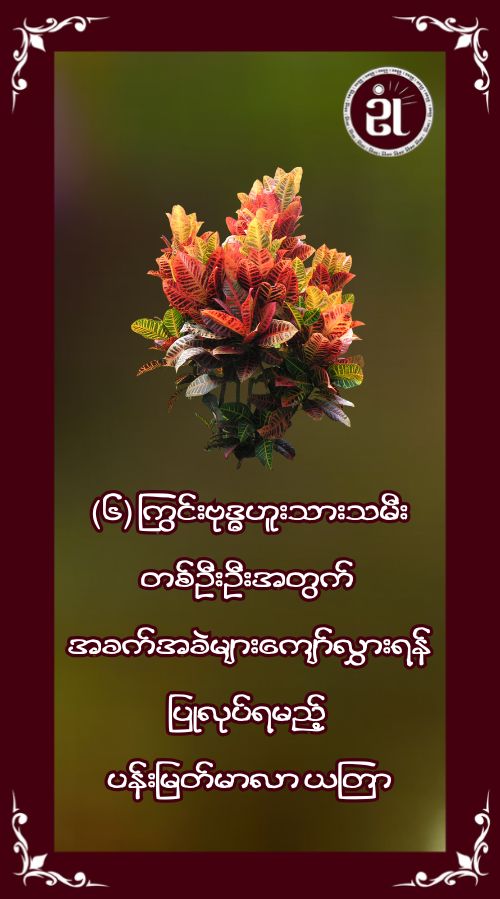 (၆) ကြွင်းဗုဒ္ဓဟူးသားသမီးတစ်ဦးဦးအတွက် အခက်အခဲများကျော်လွှားရန်ပြုလုပ်ရမည့်ပန်းမြတ်မာလာယတြာ