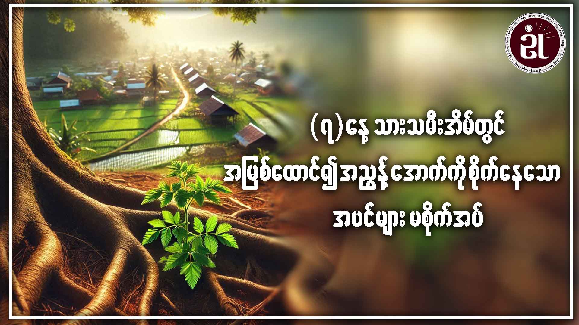 (၇) နေ့ သားသမီး အိမ်တွင် အမြစ်ထောင်၍ အညွန့်အောက်ကို စိုက်နေသော အပင်များ မစိုက်အပ်