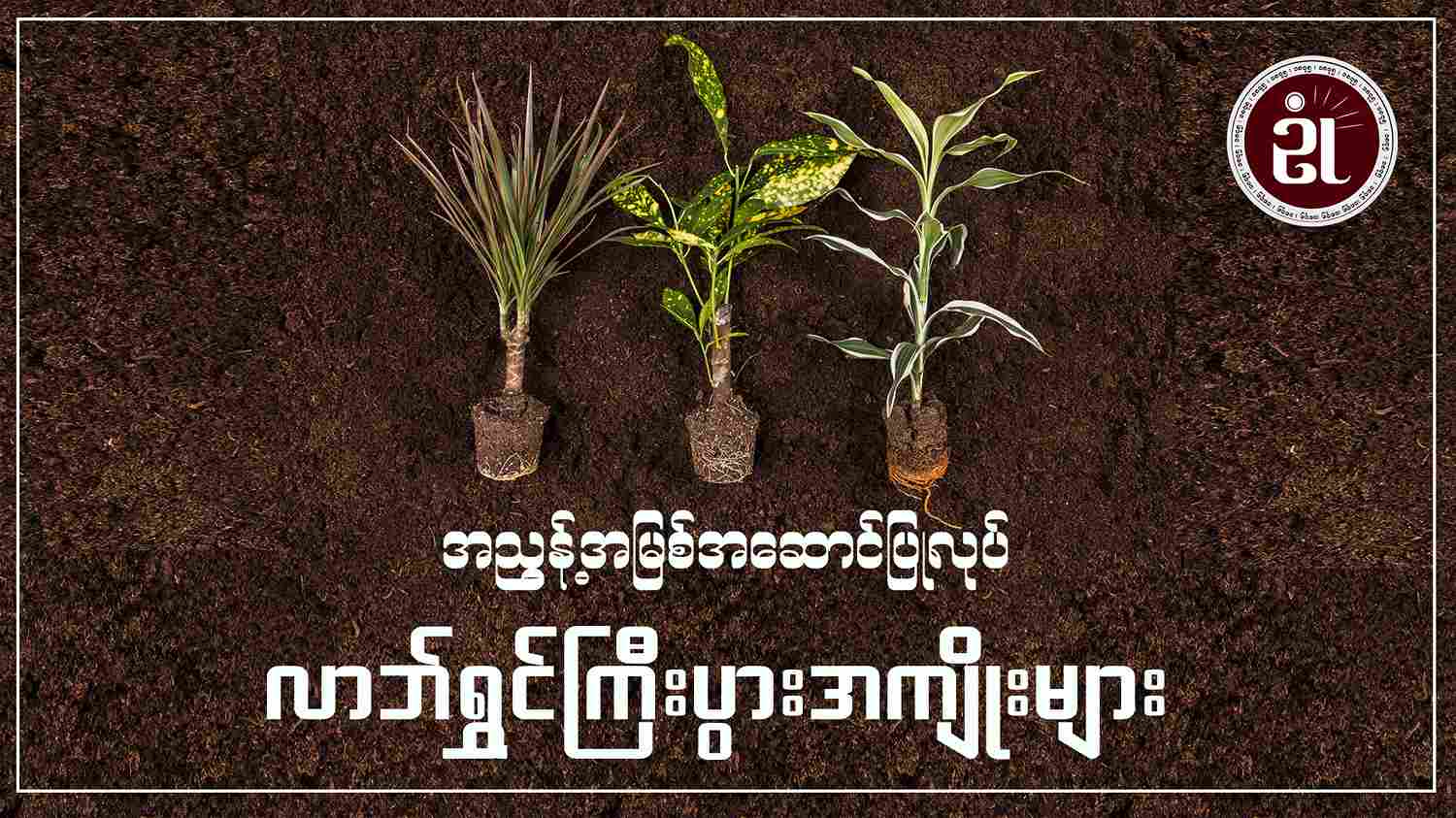 အညွန့် အမြစ် အဆောင်ပြုလုပ်လာဘ်ရွှင် ကြီးပွား အကျိုးများ