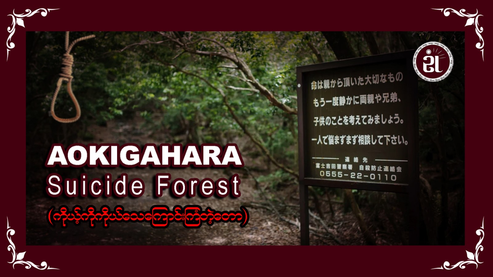 Aokigahara Suicide forest (ကိုကိုယ့်ကိုယ် သေကြောင်းကြံတဲ့တော)