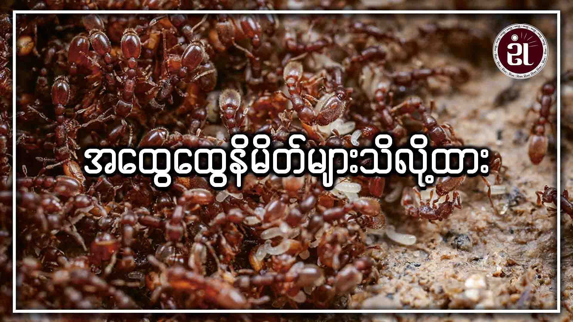 အထွေထွေနိမိတ်များသိလို့ထား