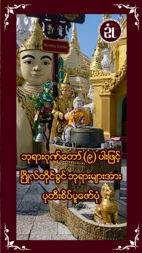 Story Image