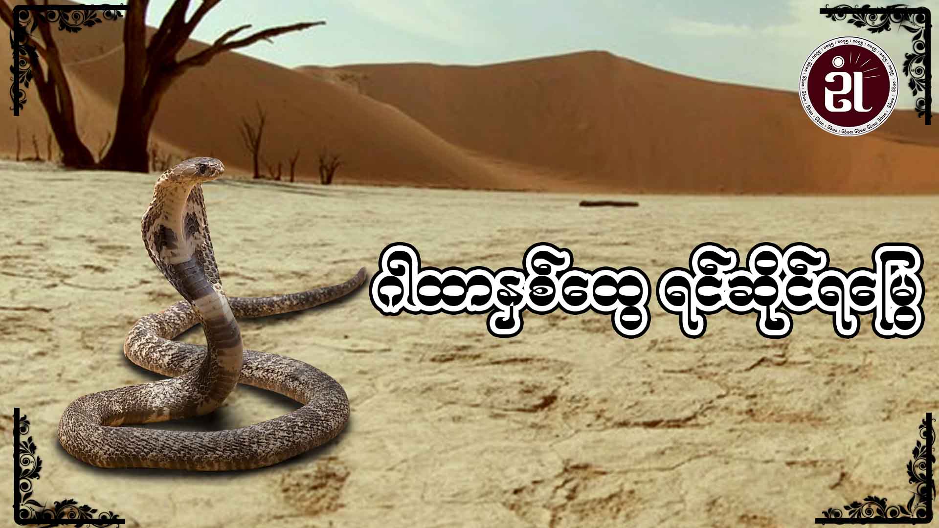ဂါထာနှစ်ထွေ ရင်ဆိုင်ရမြွေ