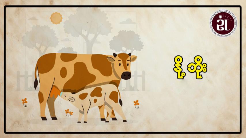 နို့ဘိုး