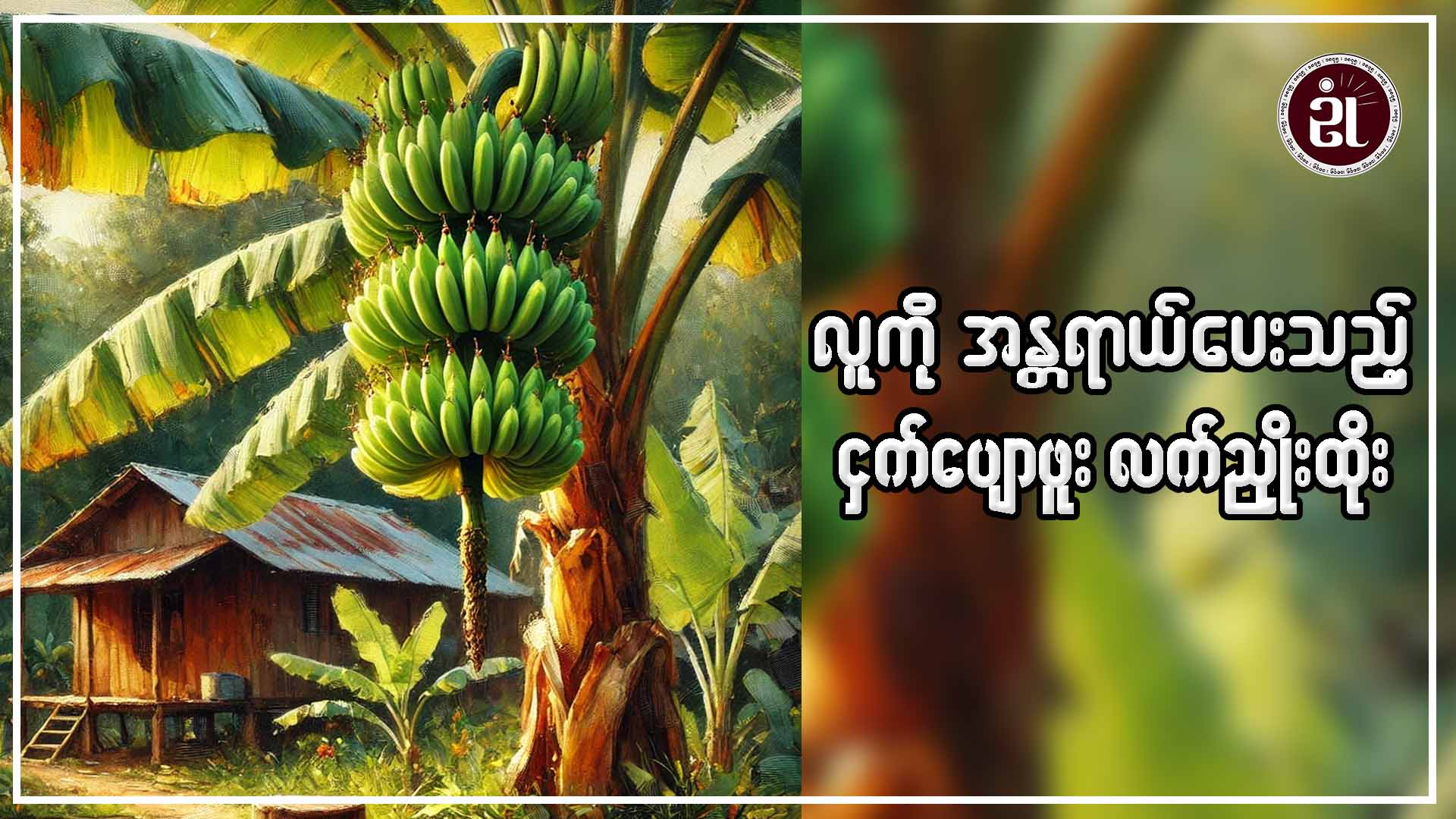 လူကို အန္တရာယ်ပေးသည့် ငှက်ပျောဖူး လက်ညိုးထိုး