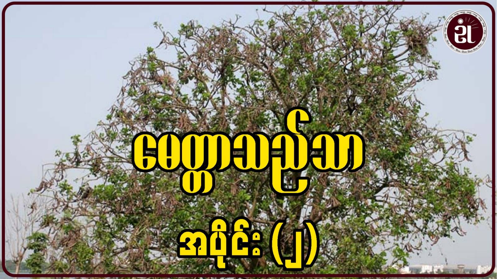 မေတ္တာသည်သာ အပိုင်း - ၂