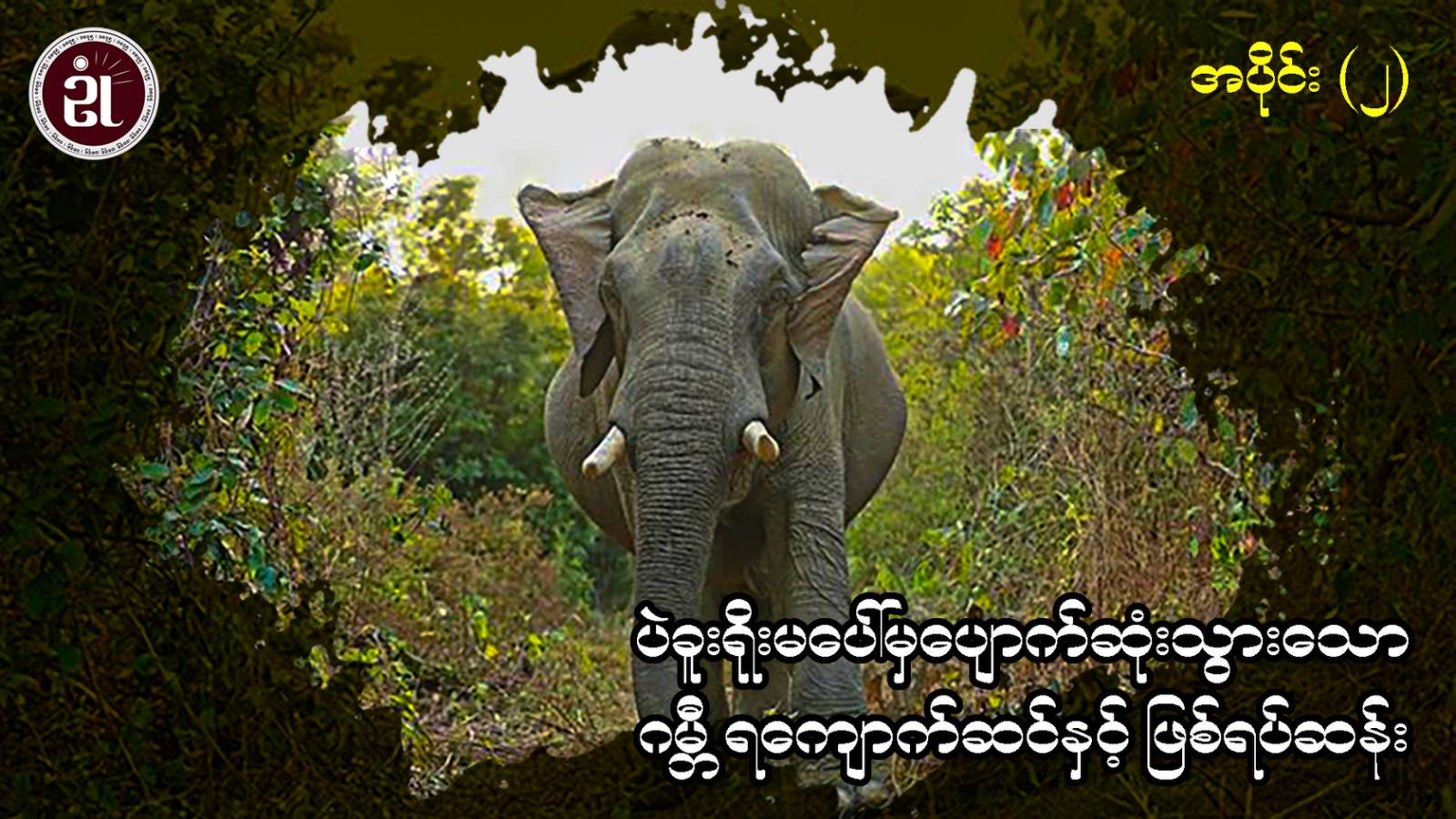 ပဲခူးရိုးမပေါ်မှ ပျောက်ဆုံးသွားသော ဂမ္ဘီရကျောက်ဆင်နှင့် ဖြစ်ရပ်ဆန်း အပိုင်း - ၂