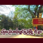 ပြေလည်စေလိုလျှင် ပြည်မြို့ကိုသွား
